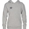 Arena Youth Team Line Hoody