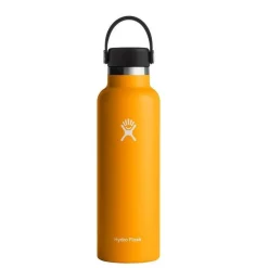 Hydro Flask Standard Mouth Bottle w/ Flex Cap - 21 Oz