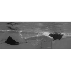 Swimmers Best Power Bags